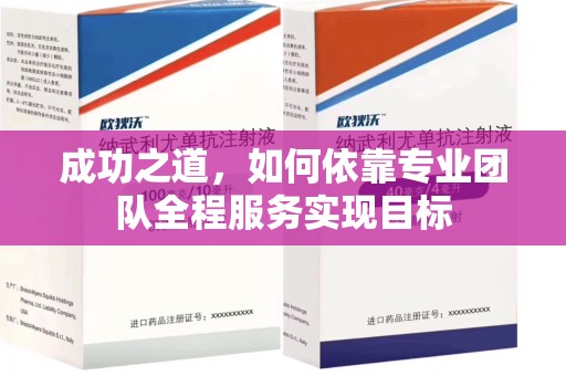 滁州成功之道，如何依靠专业团队全程服务实现目标