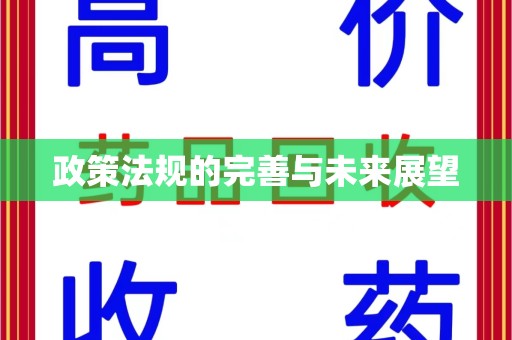 滁州政策法规的完善与未来展望