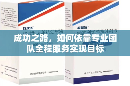 滁州成功之路，如何依靠专业团队全程服务实现目标