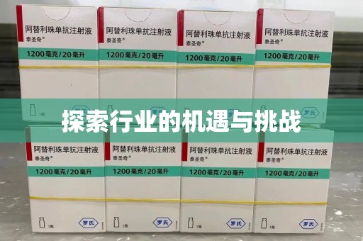 滁州探索行业的机遇与挑战